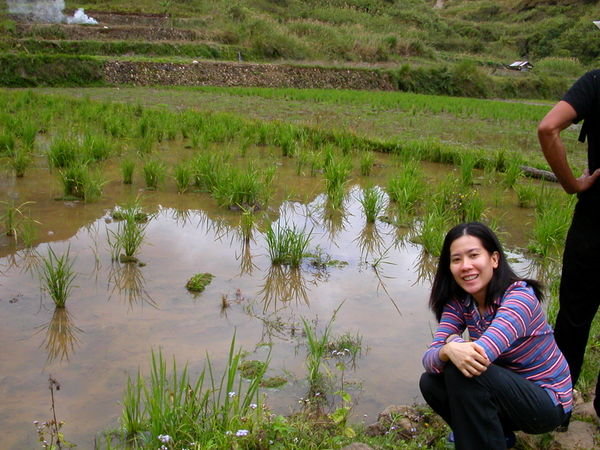 Bokkong Rice Terraces