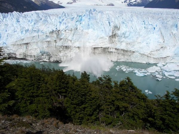 Perito Moreno beim Kalben erwischt