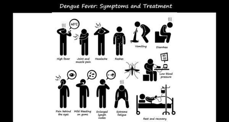 Dengue symptoms