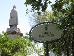 Darwin Garden