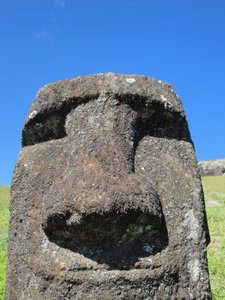 Moai in rano raraku, the quarry