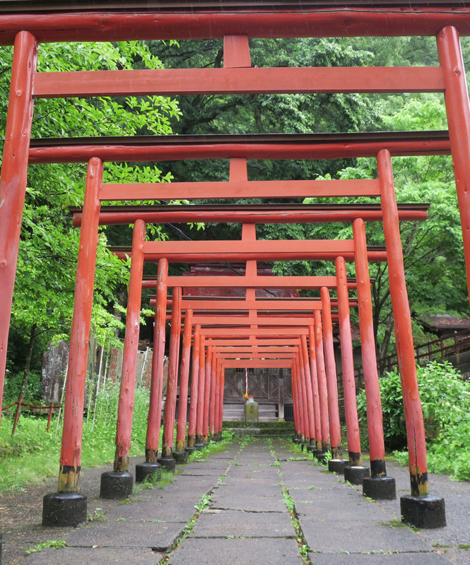 shinto tojii gates