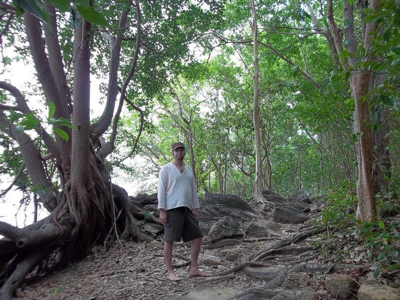 Banyan Tree and Dave