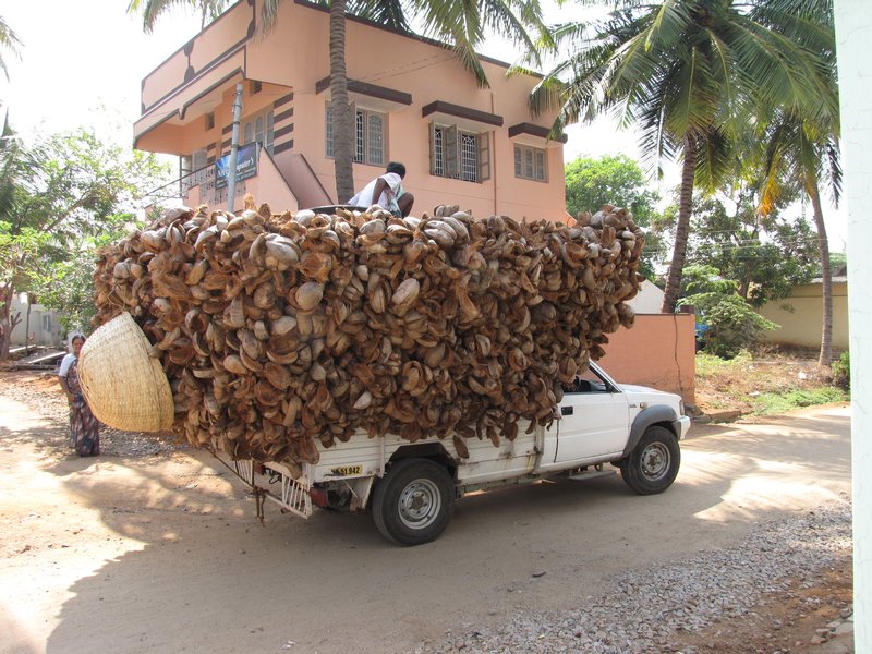 Coconut Rind Sellers 