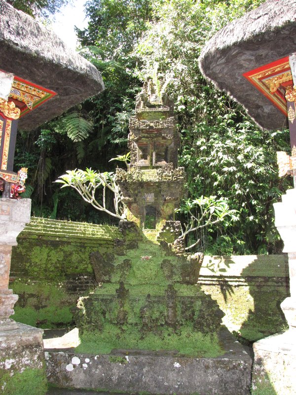 Temple carvings covered in Moss