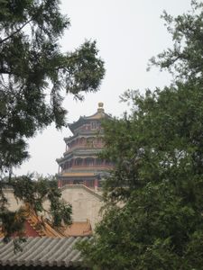 the Buddhist Temple 