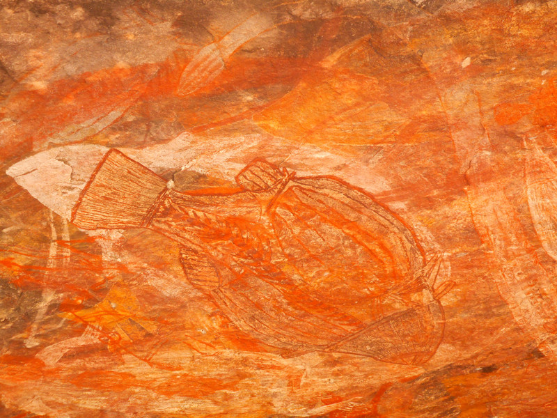 Rock art painting of Aboriginal people in Ubirr (image of fish)