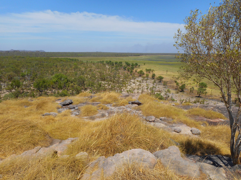 View from a rock in Ubirr, Kakadu National Park
