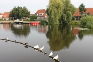 Aalsmeer, Holland
