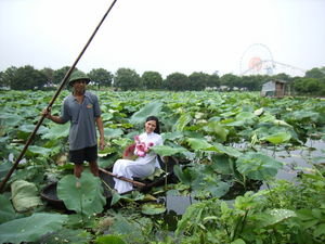 The lotus lake in Hanoi