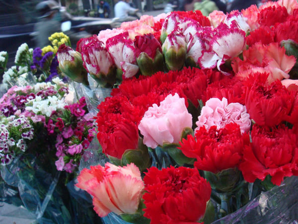Flowers sold on Hanoi's streets