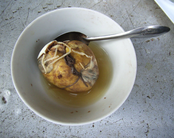 Trứng vịt lộn (incubated duck egg) 
