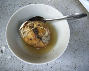 Trứng vịt lộn (incubated duck egg) 
