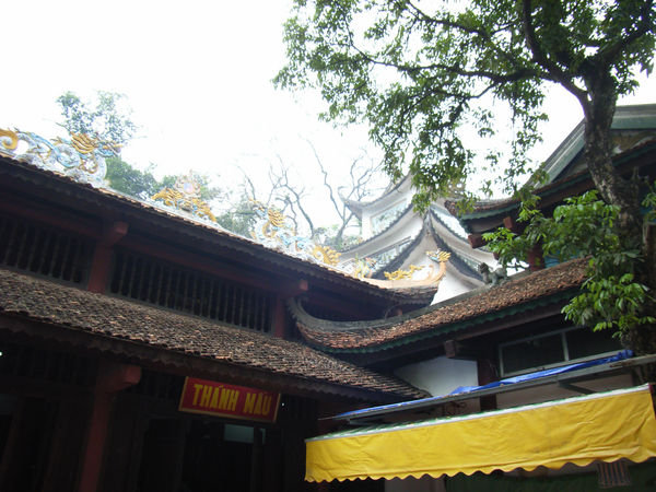 Trình temple