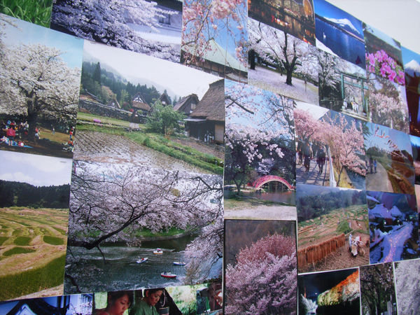 Japanese photos at the Festival
