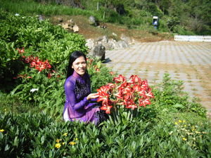 Flower garden on Hàm Rồng mountain