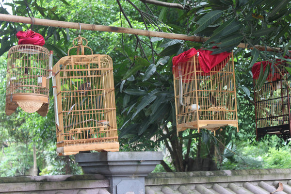 Bird cages outside a village temple