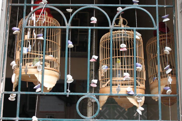 Bird cages at a local house