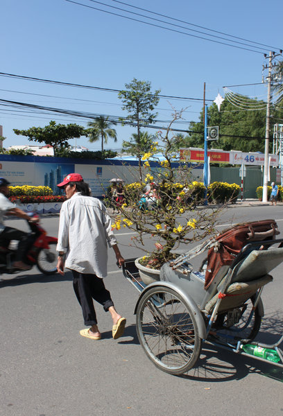 Cyclo is also used for carrying flowers
