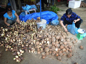 Taro at Kim Bôi market, north west Vietnam 