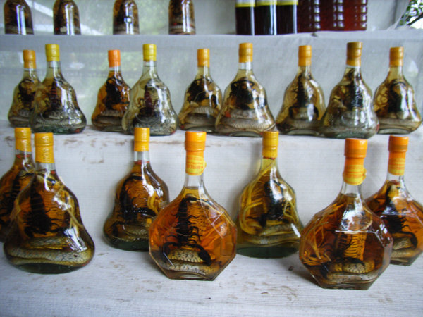 Snake wine bottles