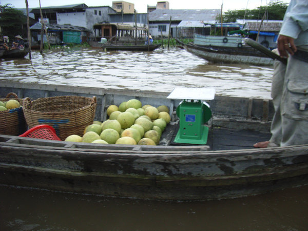 Grapefruits on the boat