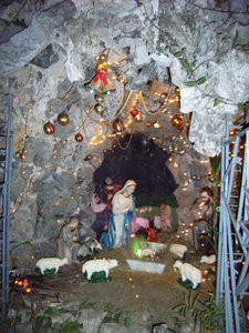Grotto at St Joseph's Cathedral - Xmas 2008 