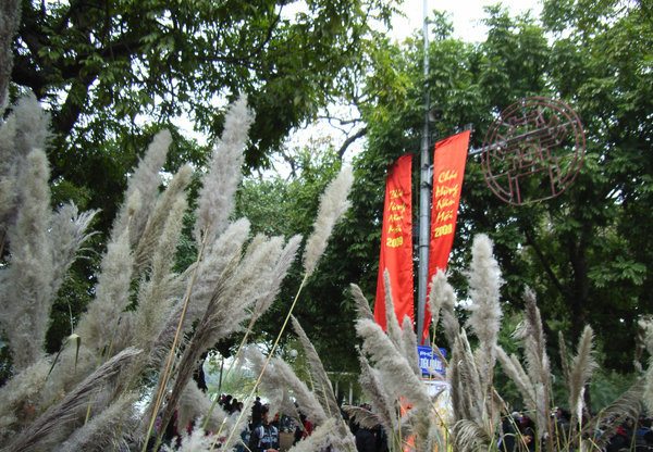 Hanoi in the festival