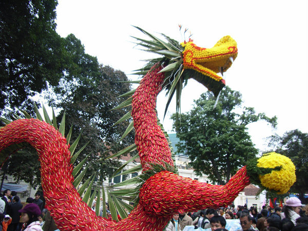 Dragon made of flowers 