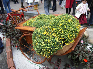 Flowers on a cyclo