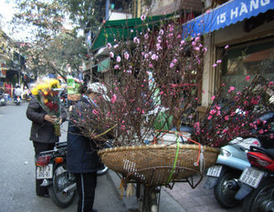 Flower market in the Old Quarter