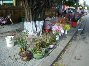 A flower shop by the street