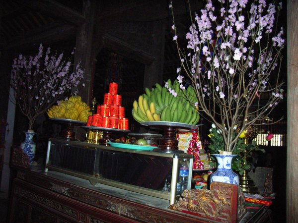 Dâu pagoda 