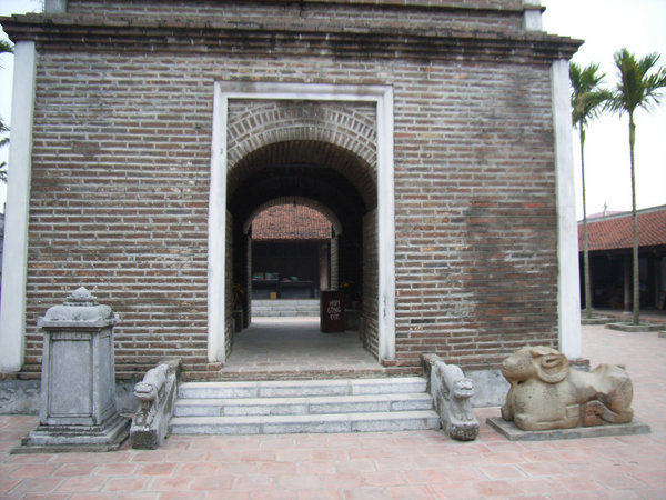 Dâu pagoda 