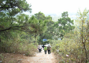 Côn Sơn mountain