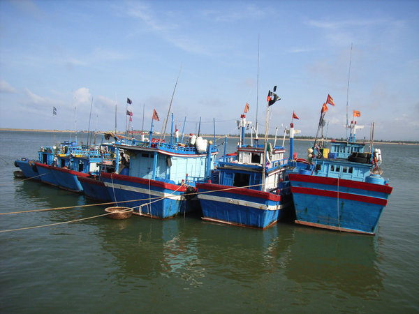 Bạch Đằng fishing port
