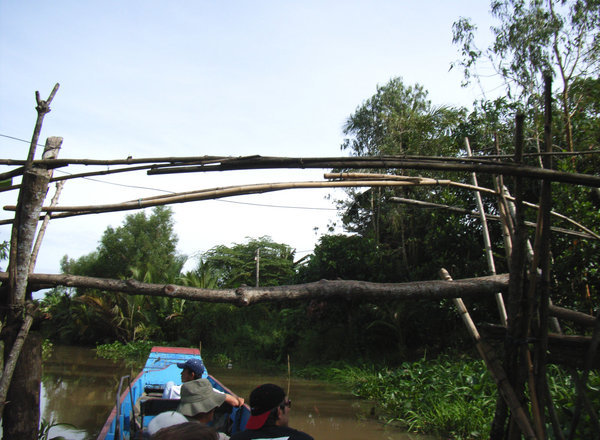 Monkey bridge in the Mekong Delta