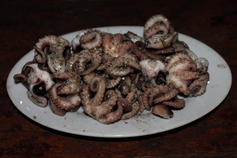 Octopus (Bạch tuộc) - Ngọc Vừng island 