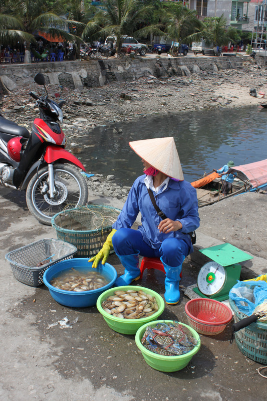 Selling fresh fish in early morning at a port on Quan Lạn island