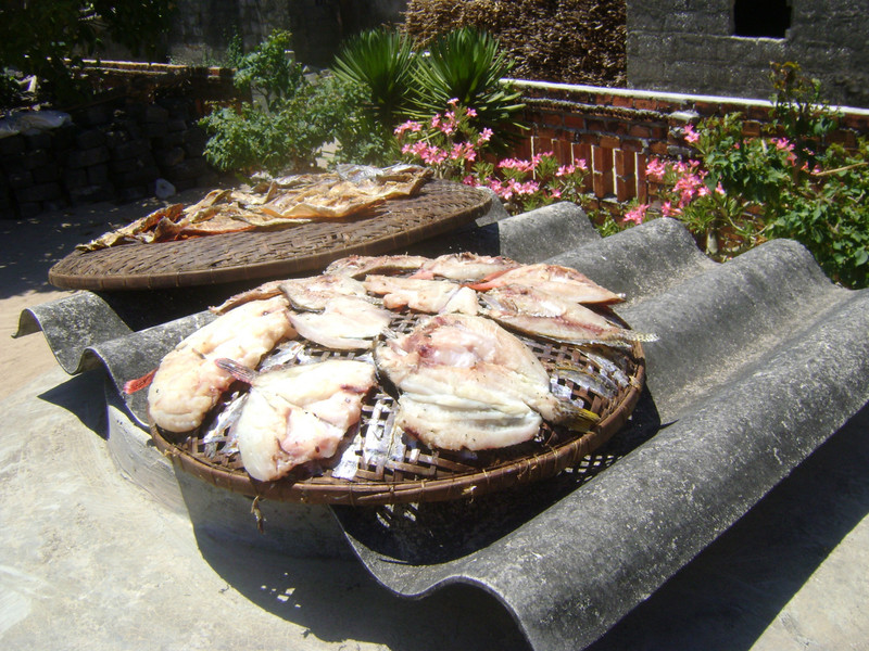 Drying fish - An Bình island, central Vietnam
