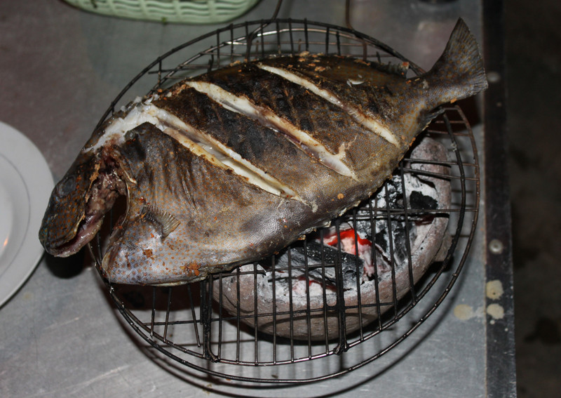 Fish (Cá bò) - Phú Quý island