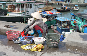 Selling fishes at Cái Rồng port