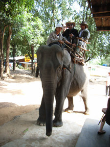 Elephant ride in Buôn Đôn village