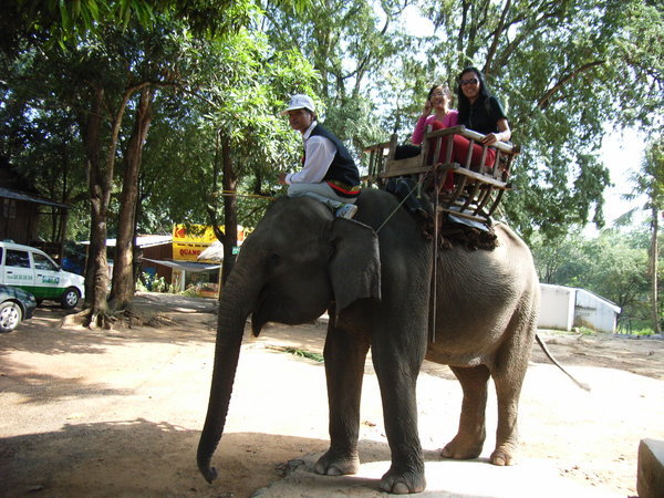 Elephant ride in Đôn village