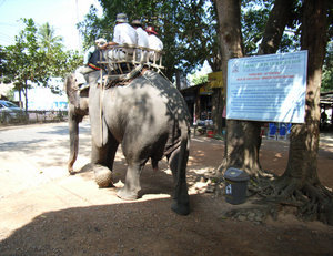 Another elephant at the site