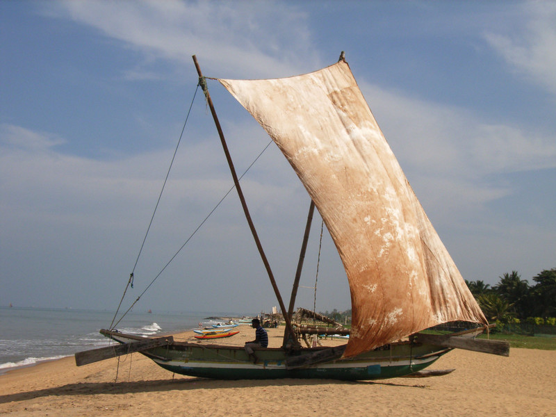 A boat in Negombo town, Sri Lanka (2010)