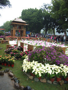 Flowers and Hanoi's symbol