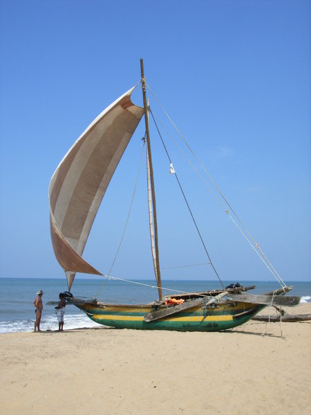 Many boats like this in Negombo 