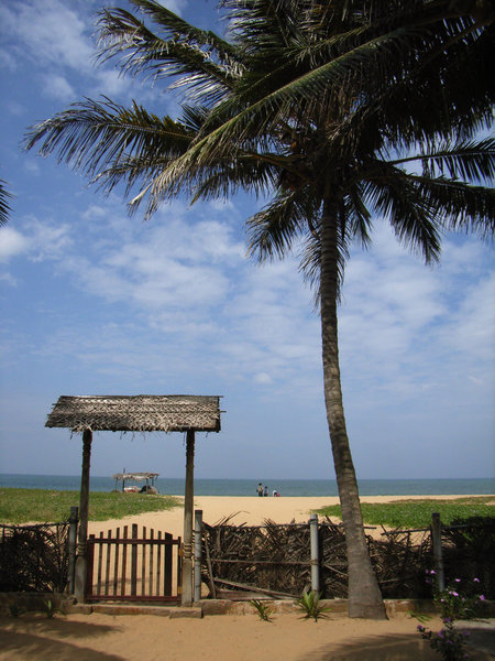 The beach in Negombo town