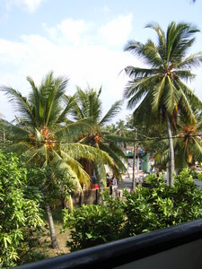 View from balcony of my GH in Negombo